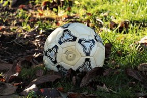 九游网页官网-Palmer技战术全面，极具发展潜力，palmer f1