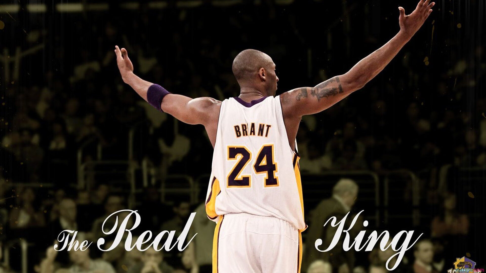 “看壁球,等精彩!高新区全民健身馆赛事让你大呼过瘾”